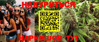 сатива Тверь