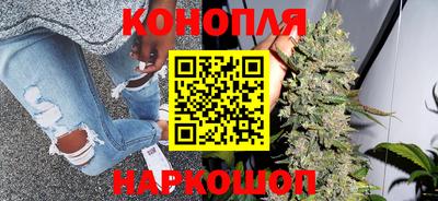 сатива Тверь
