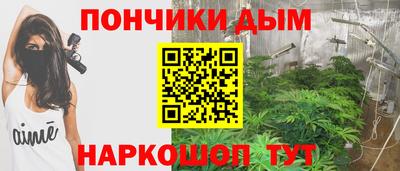 сатива Тверь