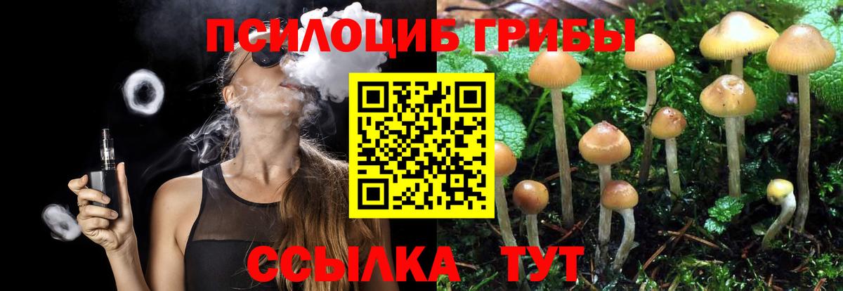 Псилоцибиновые грибы MAGIC MUSHROOMS  Вход с VPN  купить  цена  Псилоцибиновые грибы ЛСД  Муром 