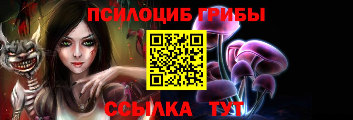 Псилоцибиновые грибы мицелий Муром